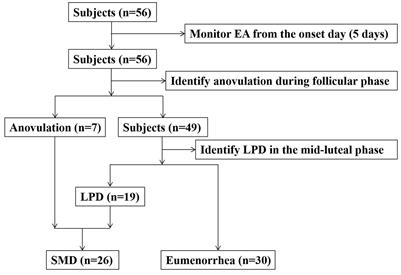 Study on the correlation between energy availability and subclinical menstrual disorders